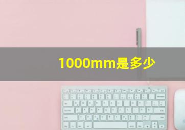 1000mm是多少