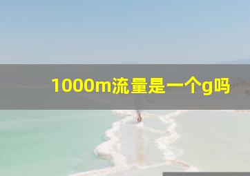 1000m流量是一个g吗