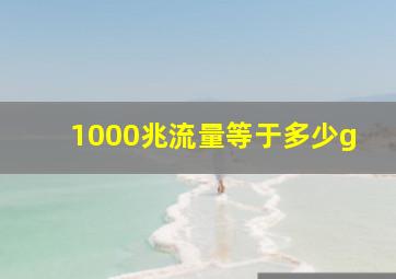 1000兆流量等于多少g