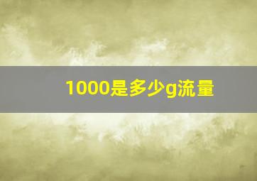 1000是多少g流量