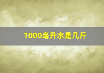 1000毫升水是几斤