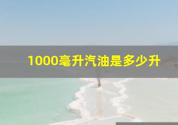 1000毫升汽油是多少升