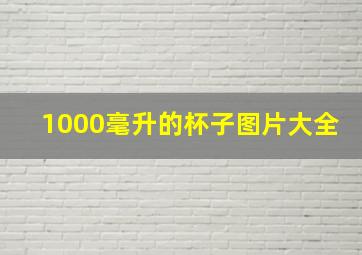 1000毫升的杯子图片大全