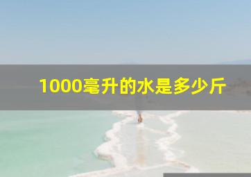 1000毫升的水是多少斤