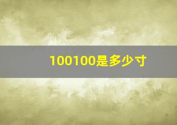 100100是多少寸