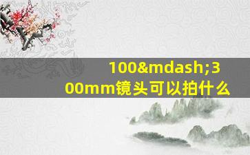 100—300mm镜头可以拍什么