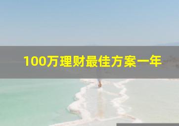 100万理财最佳方案一年