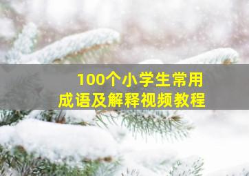 100个小学生常用成语及解释视频教程