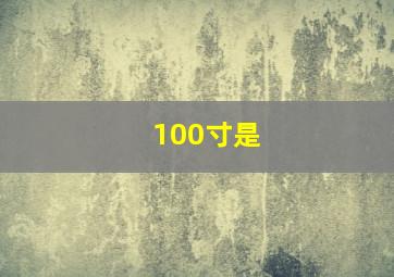 100寸是