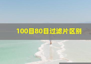 100目80目过滤片区别