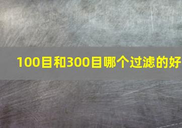 100目和300目哪个过滤的好