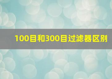 100目和300目过滤器区别