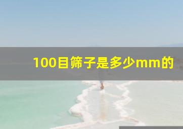 100目筛子是多少mm的