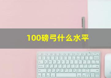 100磅弓什么水平