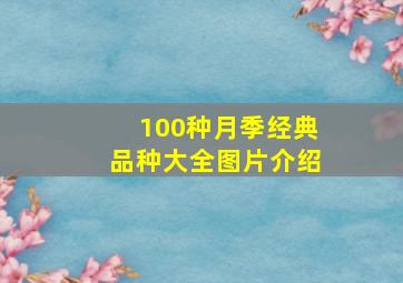 100种月季经典品种大全图片介绍