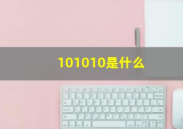 101010是什么