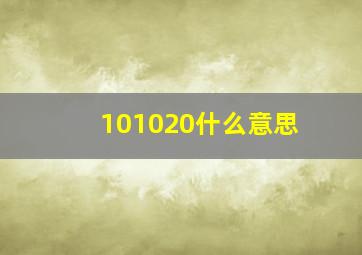 101020什么意思