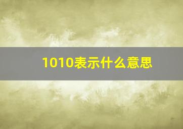 1010表示什么意思