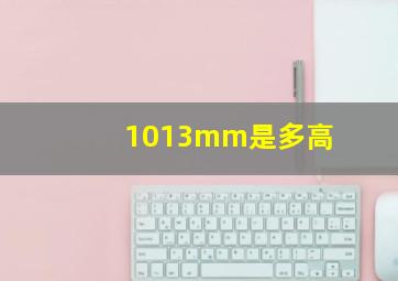 1013mm是多高