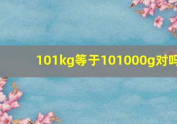 101kg等于101000g对吗