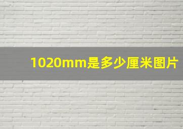 1020mm是多少厘米图片