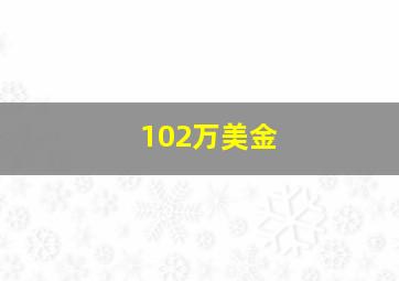 102万美金