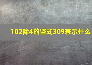 102除4的竖式309表示什么