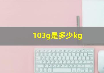 103g是多少kg