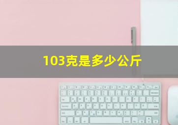 103克是多少公斤