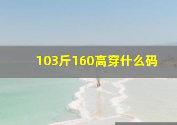 103斤160高穿什么码