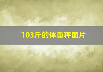 103斤的体重秤图片