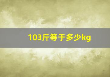 103斤等于多少kg