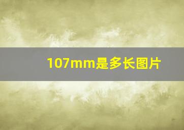 107mm是多长图片