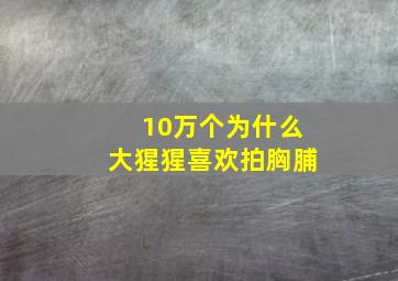 10万个为什么大猩猩喜欢拍胸脯