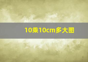 10乘10cm多大图