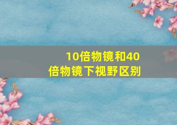 10倍物镜和40倍物镜下视野区别