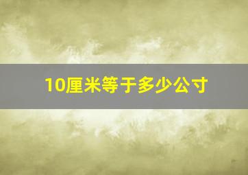 10厘米等于多少公寸