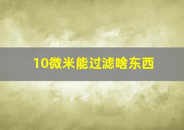 10微米能过滤啥东西