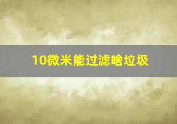 10微米能过滤啥垃圾