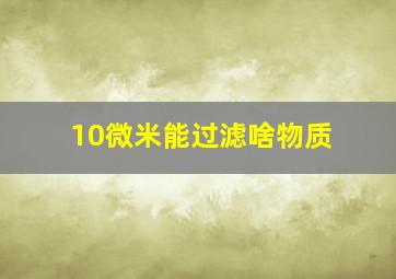 10微米能过滤啥物质