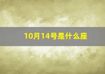 10月14号是什么座