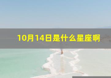 10月14日是什么星座啊