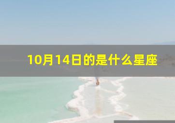 10月14日的是什么星座