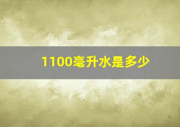 1100毫升水是多少