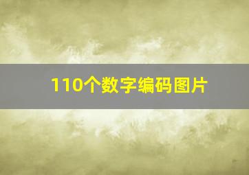 110个数字编码图片