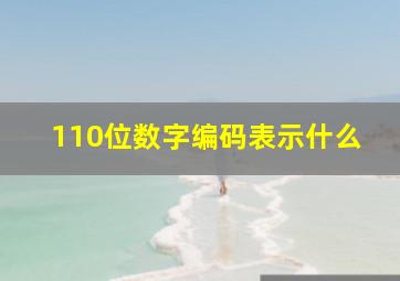 110位数字编码表示什么