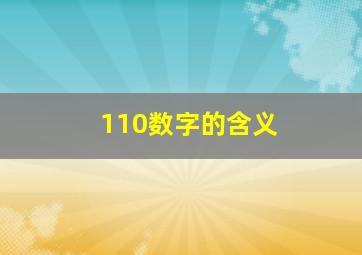 110数字的含义