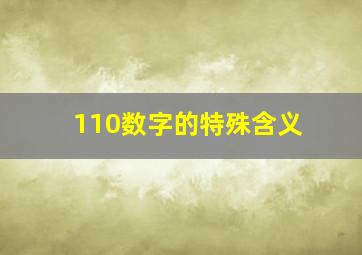 110数字的特殊含义