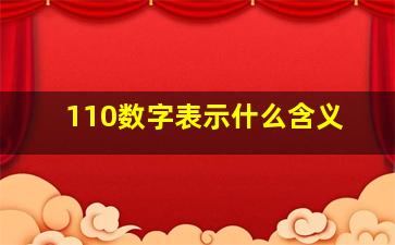 110数字表示什么含义