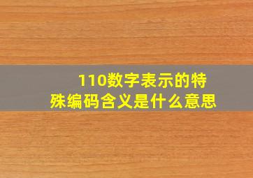 110数字表示的特殊编码含义是什么意思